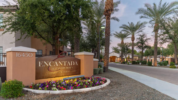 a building with a cactus garden in front of it
