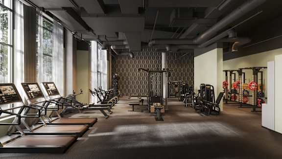 A gym with treadmills, weights, and exercise equipment.