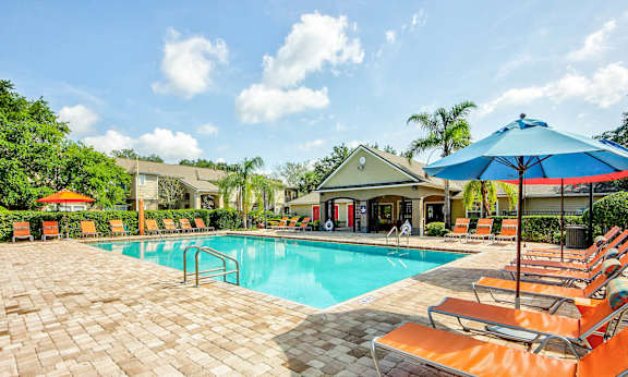 Sparkling Swimming Pool