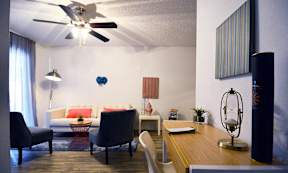Modern Austin Apartment 