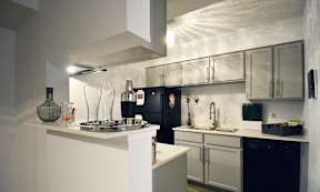 Modern Austin Apartment 