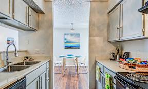 Modern Austin Apartment