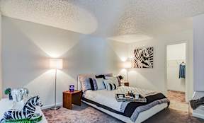 Modern Austin Apartment
