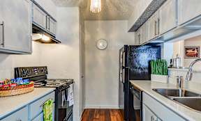 Modern Austin Apartment