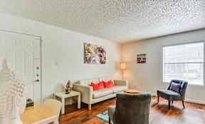 Modern Austin Apartment 