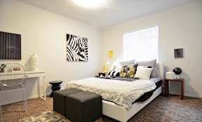 Modern Austin Apartment