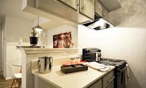 Modern Austin Apartment