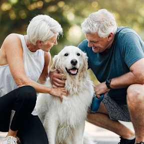 An older couple petting a white dog.