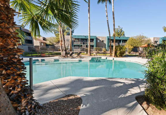  View of swimming pool at Tanque Verde Apartment Homes in Tucson, AZ