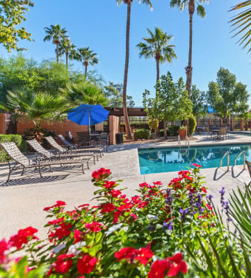 swimming pool at Lakeside Casitas apartments in Tucson, AZ