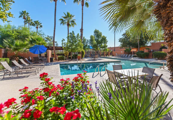  Pool and sundeck surrounded by lush vegetation at Lakeside Casitas Apartments in Tucson, AZ