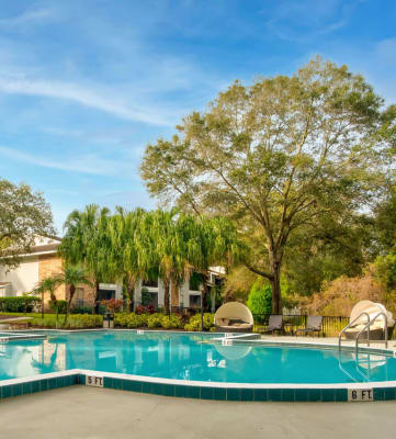  View of swimming pool at Grand Pavilion Apartments in Tampa, FL
