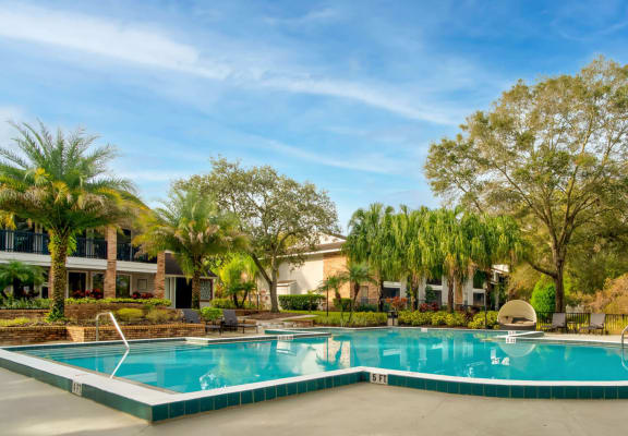  View of swimming pool at Grand Pavilion Apartments in Tampa, FL