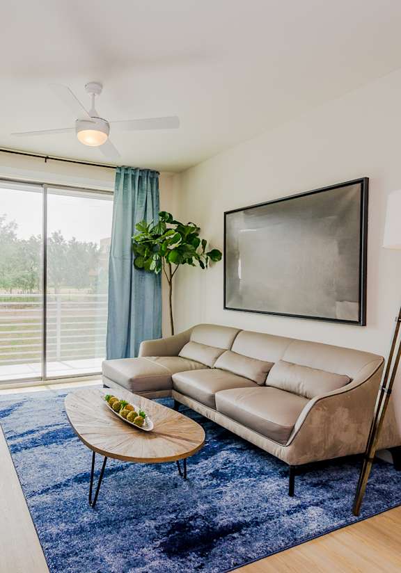 A living room with a grey sofa, a blue rug, and a TV on the wall.