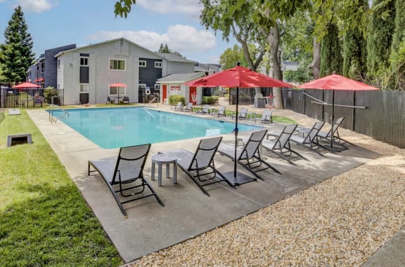 our apartments have a swimming pool with chairs and umbrellas