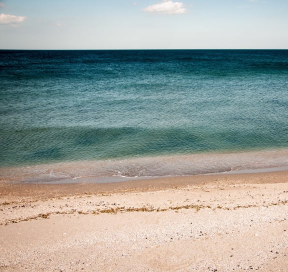 a sandy beach with the ocean in the background