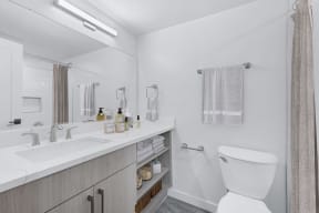 a bathroom with a toilet and a sink and a mirror