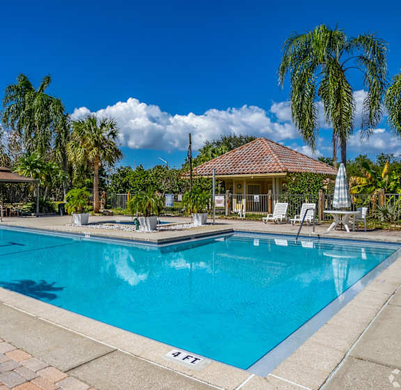 A large swimming pool surrounded by palm trees and lounge chairs.