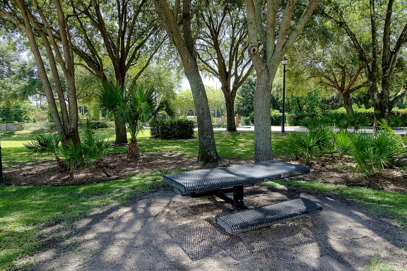 Bench Tree Rest Area Orlando Florida