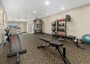 Thumbnail 1 of 10 - A gym with a variety of equipment including weights and a bench.
