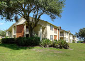 Thumbnail 10 of 12 - Exterior Building Tree Grass Area Orlando Florida