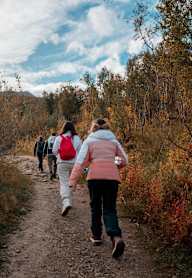 Three people walking on a trail in the woods.