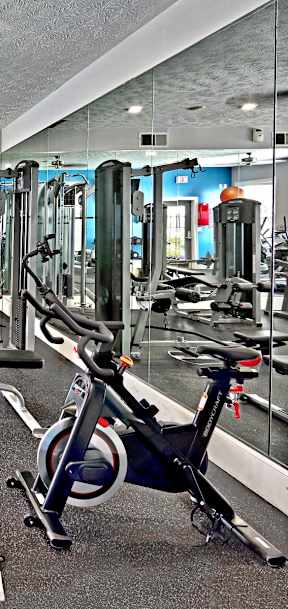 A gym with a variety of equipment including treadmills, stationary bikes, and weight machines.