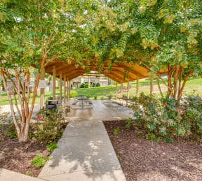a covered picnic area with benches and trees