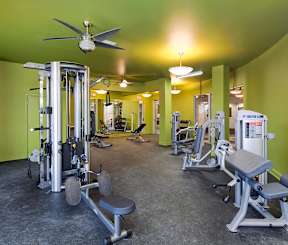 A gym with a variety of equipment including a weight bench, a squat rack, and a fan.