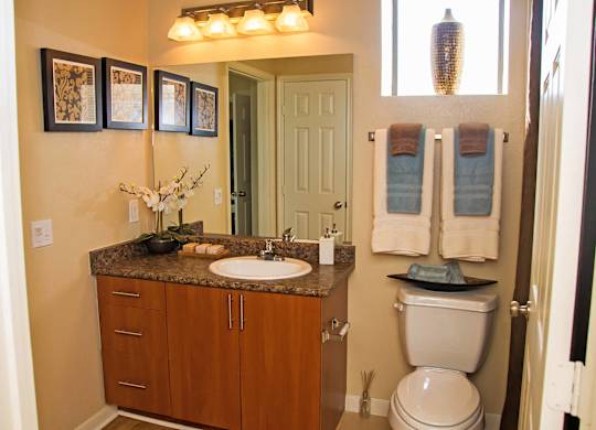 Model Bathroom at Lakeland Estates Apartments in Stafford TX