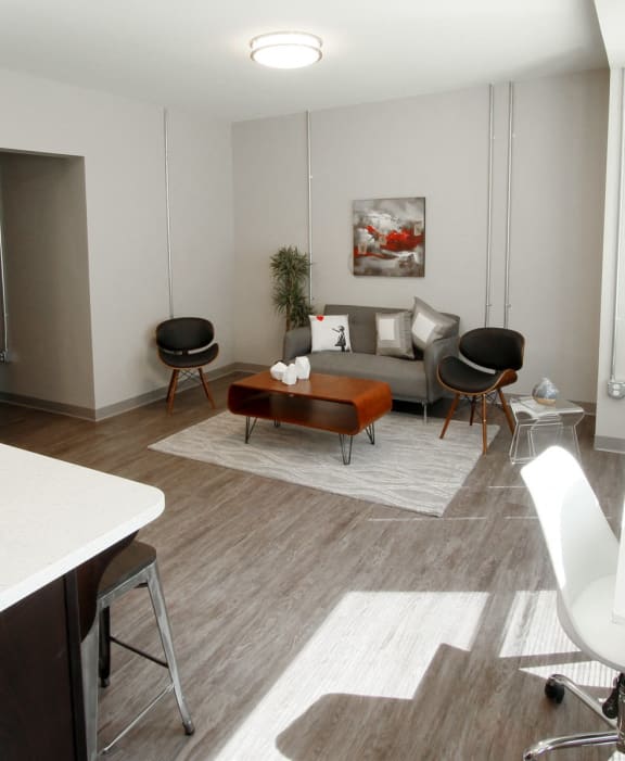 a living room and kitchen in a micro apartment