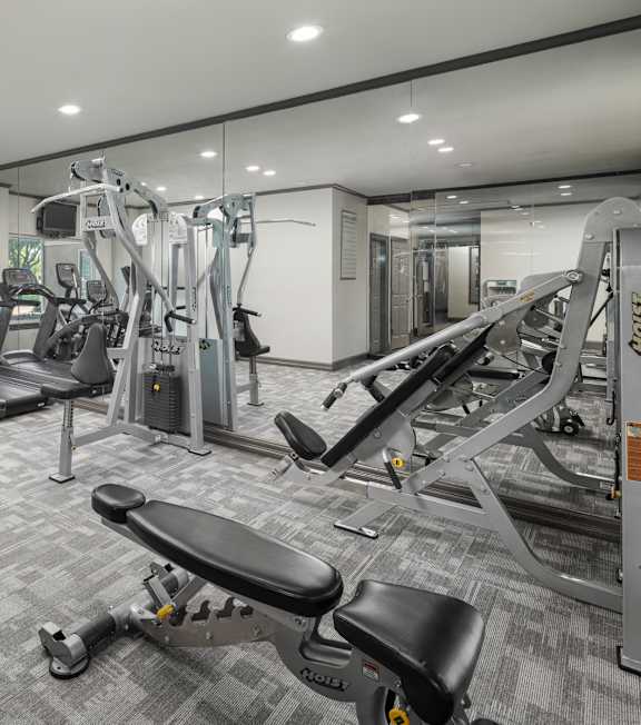 A gym with a variety of equipment including treadmills, weights, and benches.