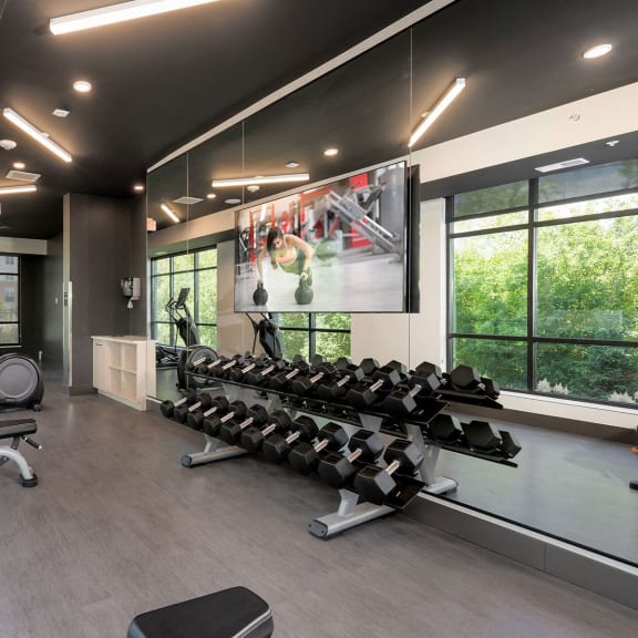 a gym with weights and a tv on the wall
