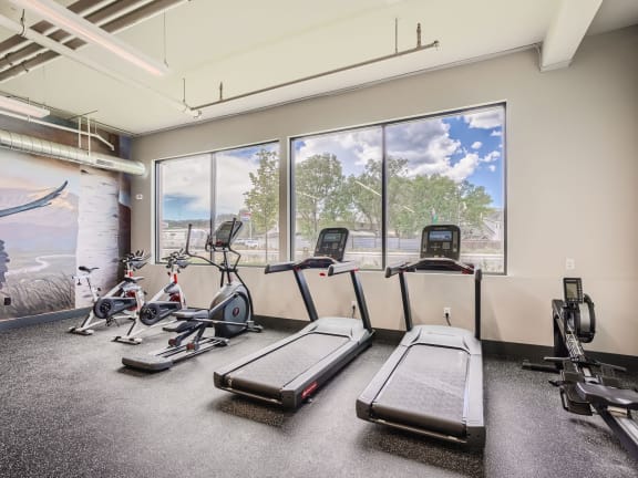 an exercise room with treadmills and ellipticals and a wall of windows with a view