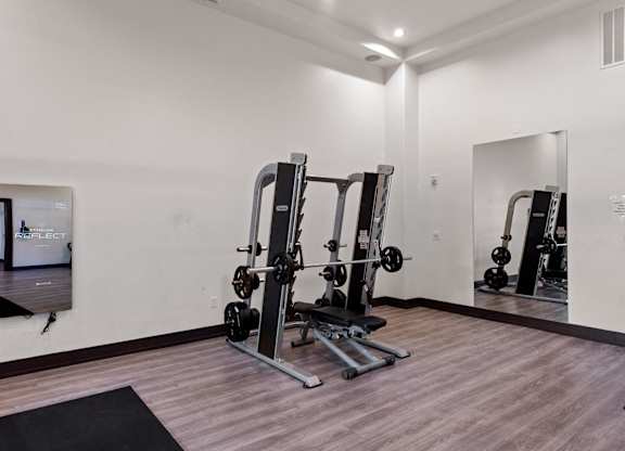 Fitness Center weight room with mirror at Atley on the Greenway Apartments in Ashburn VA