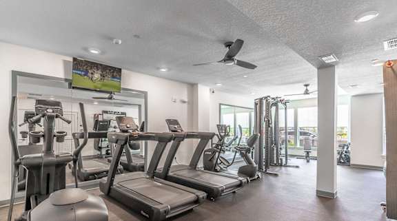 A gym with treadmills, exercise bikes, and other equipment.