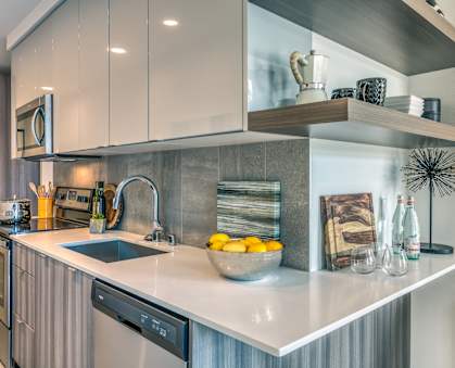 A modern kitchen with a stainless steel dishwasher and a white countertop. at Orion, Seattle, Washington