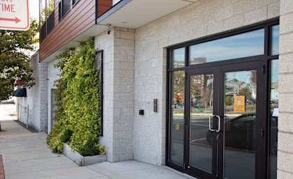 A building with a black door and windows with a plant on the side.