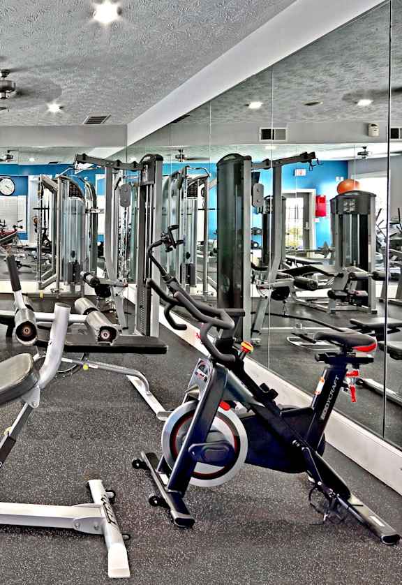 A gym with a variety of equipment including treadmills, stationary bikes, and weight machines.