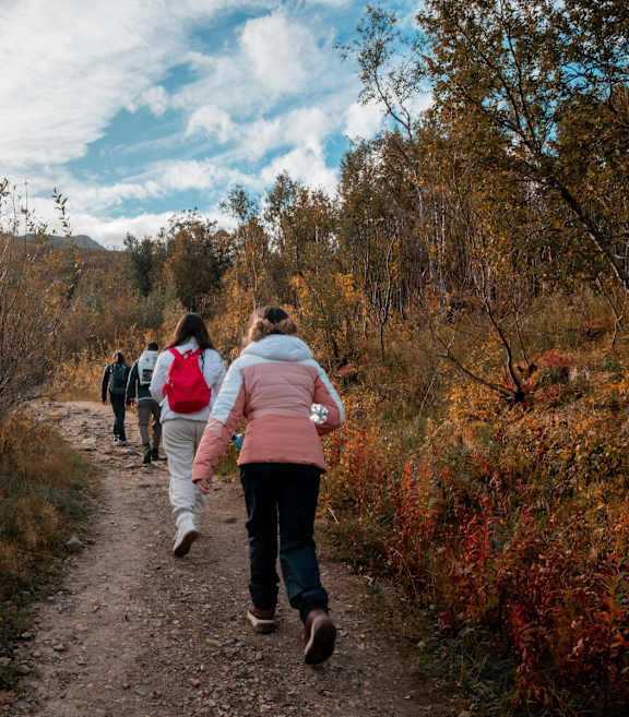 Three people walking on a trail in the woods.