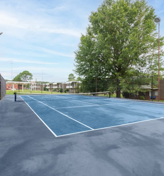 our apartments have a spacious yard and green grass