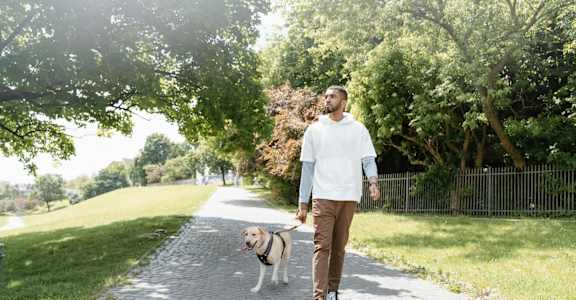 A man walking his dog on a sunny day.