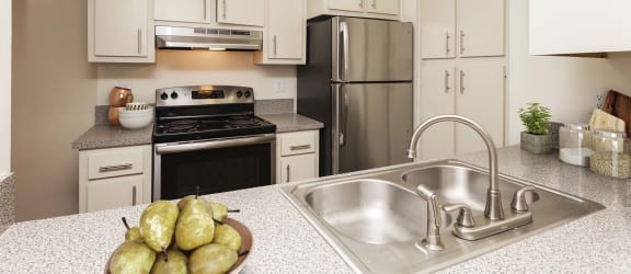 Stainless Steel Sink With In Kitchen at The Villages Apartment of Banyan Grove, Boynton Beach, FL