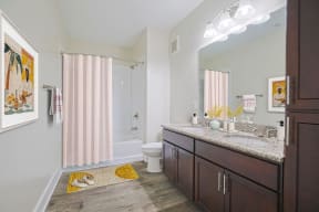 a bathroom with a shower toilet and sink and a mirror