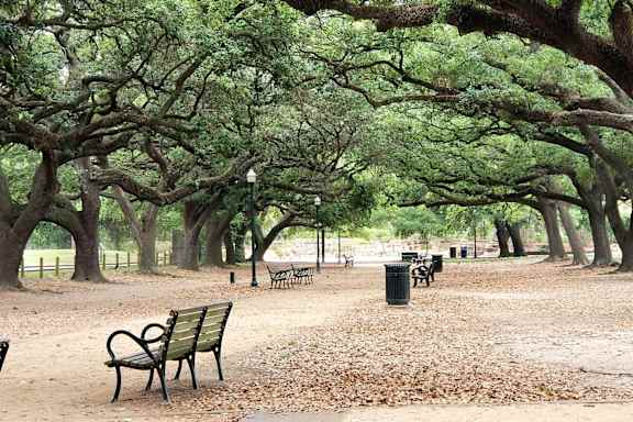 A park with benches and trees.