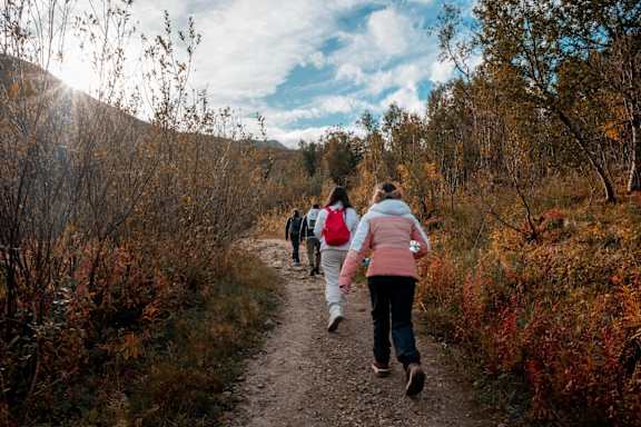A long metal bridge with a wooden walkway.