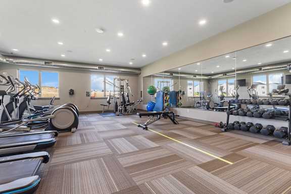 A gym with treadmills, weights, and exercise equipment.