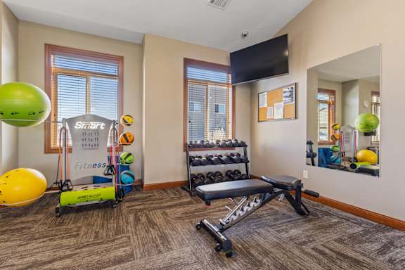 A gym room with a bench, weights, and exercise balls.