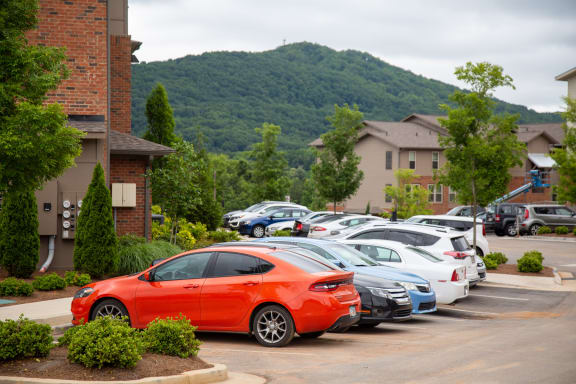 Walton Ridge Apartment Homes - Kennesaw Mountain Views