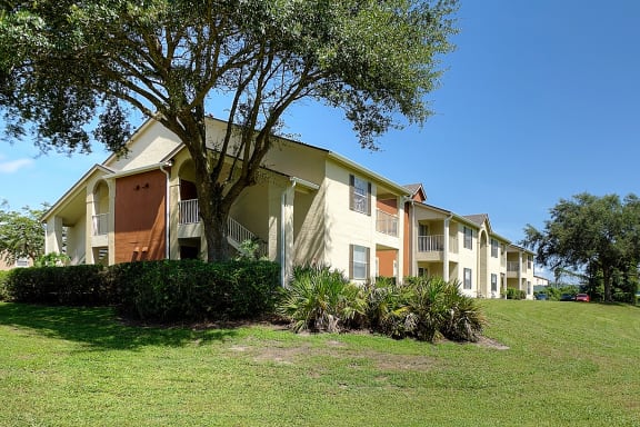 Exterior Building Tree Grass Area Orlando Florida